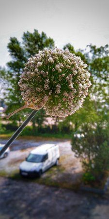 IMG_20180615_105458-01.jpeg