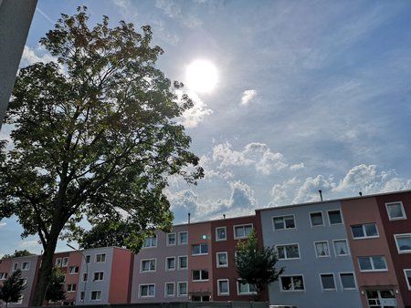 IMG_20180615_171604.jpg