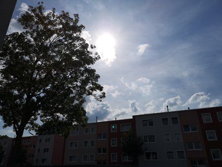 IMG_20180615_171652.jpg