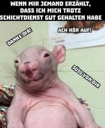 ajhgj.jpeg