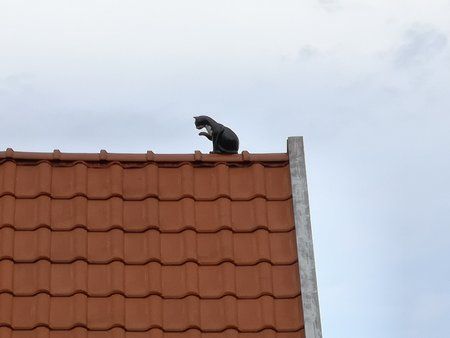 IMG_20180617_163129.jpg