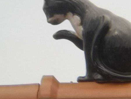 IMG_20180617_164851.jpg