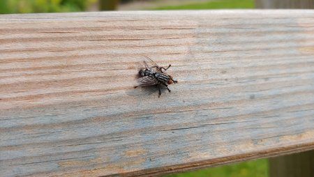 20180616_111925.jpg