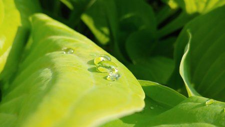 20180615_171930.jpg