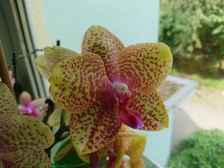DSC_0007.JPG