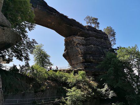 IMG_20180620_103024.jpg