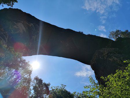 IMG_20180620_102830.jpg