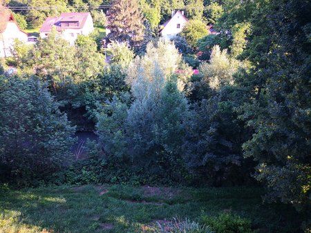 IMG_20180620_192546.jpg