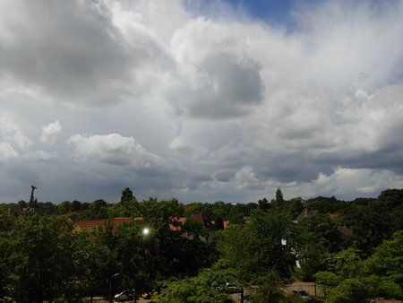 20180621_130805_HDR.jpg