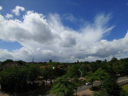 20180621_130758_HDR.jpg