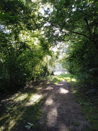 2018-06-22 07.32.50.jpg