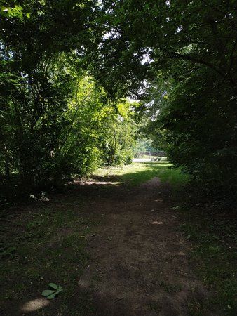 2018-06-22 11.50.43.jpg