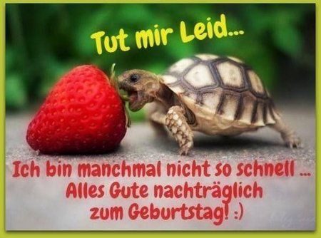 alles-gute-zum-geburtstag-nachtraglich-08_453.jpg