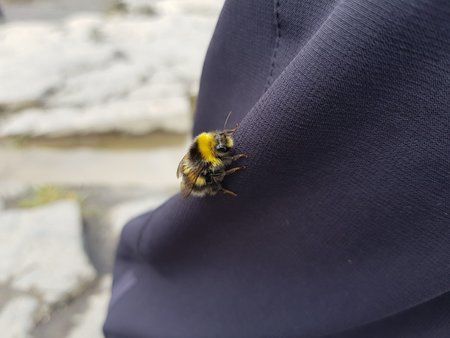 20170903_134302.jpg