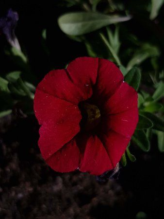 20180630_171048.jpg