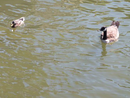 IMG_20180630_153940.jpg