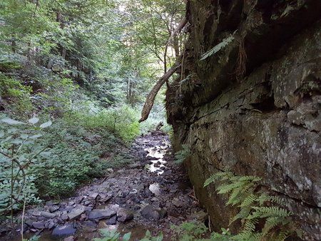 20180701_063101.jpg