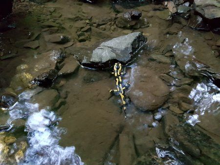 20180701_063226.jpg