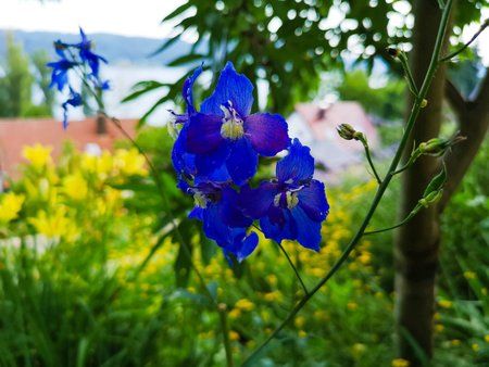 IMG_20180630_175040_LR bearbeitet.jpg