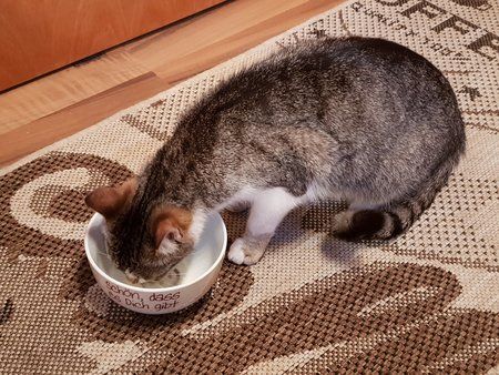 20180702_205619.jpg
