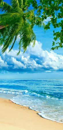 Beautiful_Beach-2493fc2d-3f06-332e-b6a8-26109cbeac4a.jpg