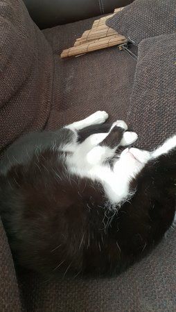 20180704_110123.jpg