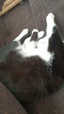 20180704_110044.jpg