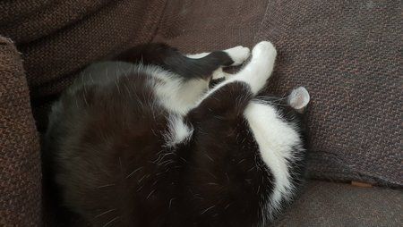 20180704_110408.jpg