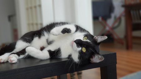 20180706_145716.jpg