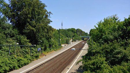20180707_124651.jpg