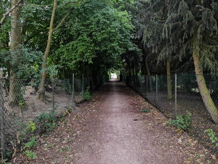 IMG_20180710_070205.jpg