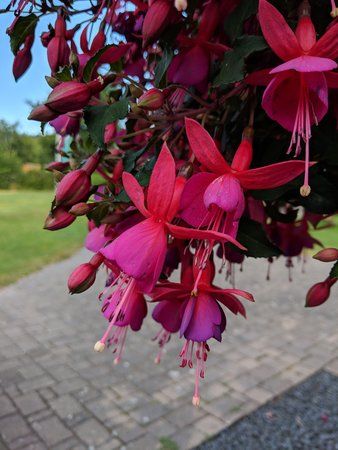 MVIMG_20180712_072620.jpg