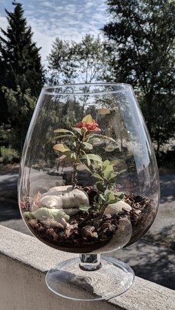 IMG_20180713_094925.jpg