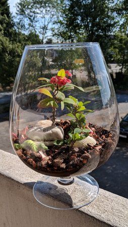 IMG_20180713_100126.jpg