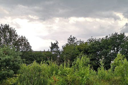 foto-ohne-ai.jpg