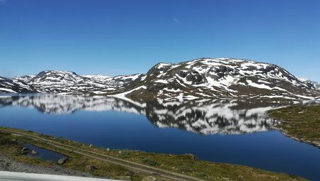 IMG_20180613_094819.jpg