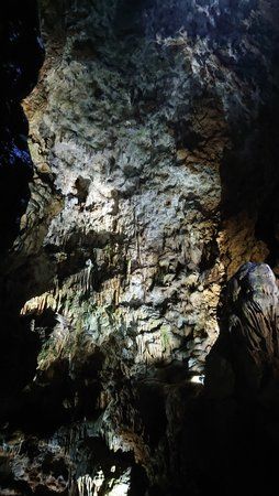 DSC_0031_2.JPG