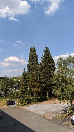 IMG_20180724_163812.jpg