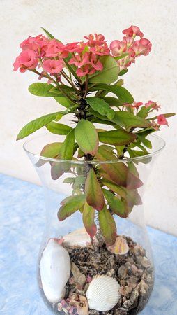 IMG_20180724_162952.jpg