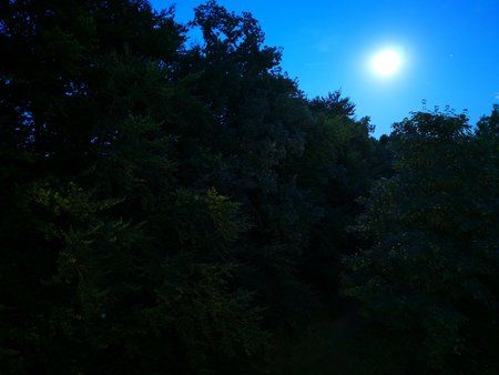 IMG_20180725_224028.jpg