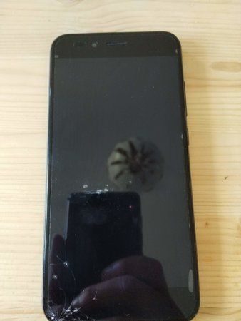 IMG_20180726_133249.jpg