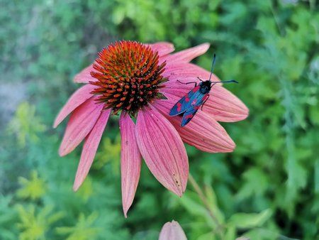 IMG_20180726_205931.jpg