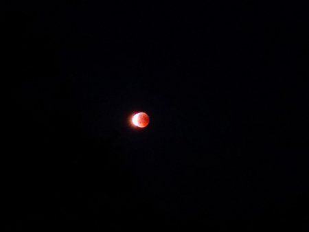 IMG_20180727_232226.jpg