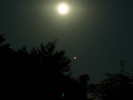 IMG_20180727_235124.jpg