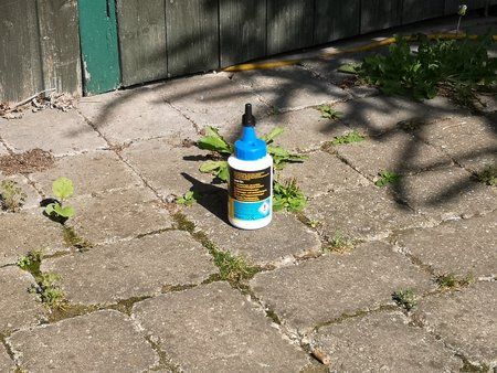 IMG_20180728_095620.jpg