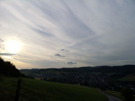 IMG_20180729_071233.jpg
