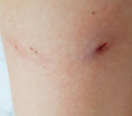 20180731_084755.jpg