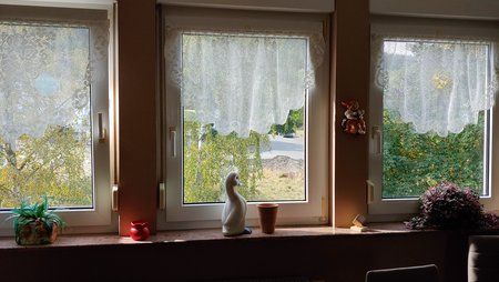 20180801_101205_HDR.jpg
