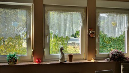 IMG_20180801_101219.jpg