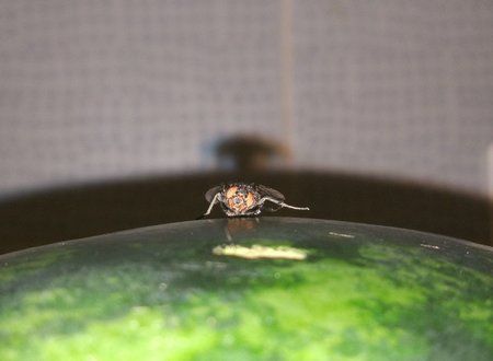 IMG_20180801_143435.jpg